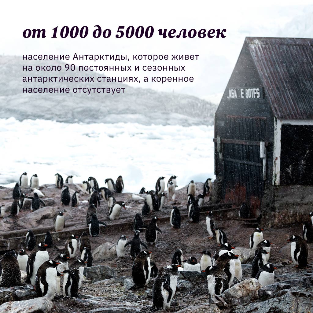 Население Антарктиды