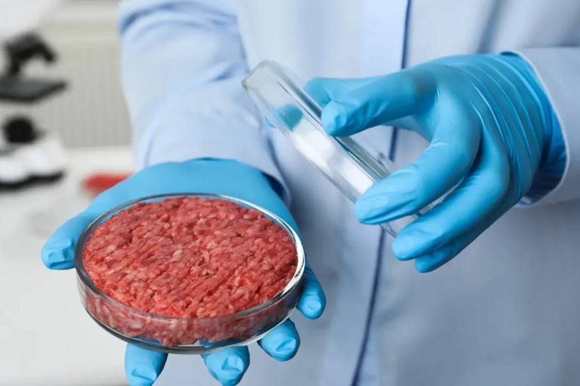 Искусственное мясо: плюсы и минусы, опасно ли для здоровья, в каких ...