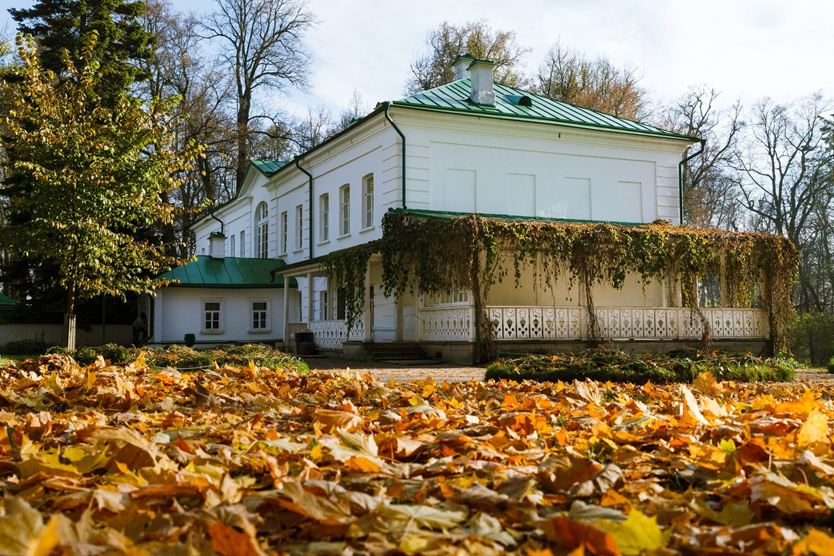 Фото Куда поехать на ноябрьские праздники из Москвы: Ясная поляна