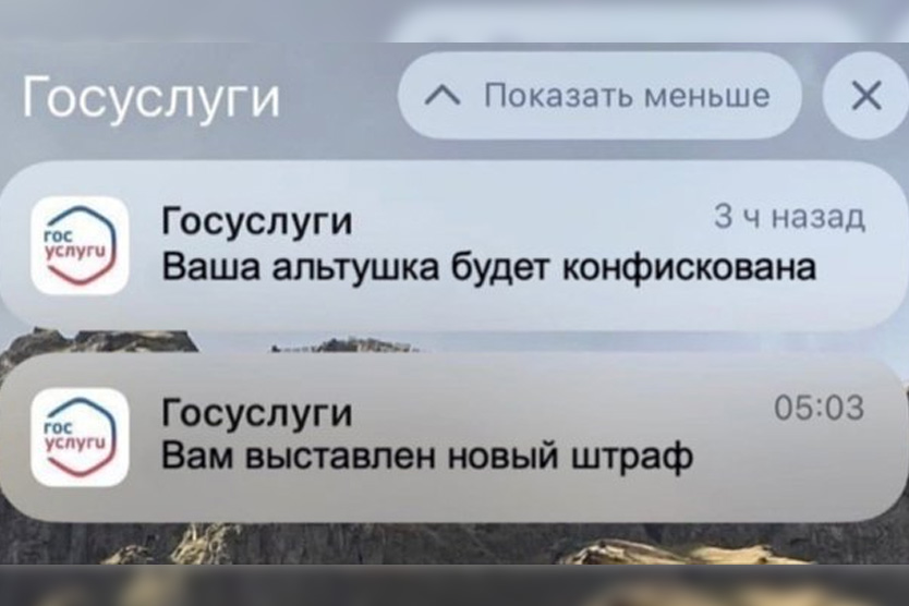 Мемы про скуфа и альтушку с «Госуслуг»