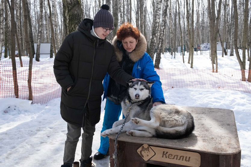 чем заняться в парке сокольники: Хаски-Парк