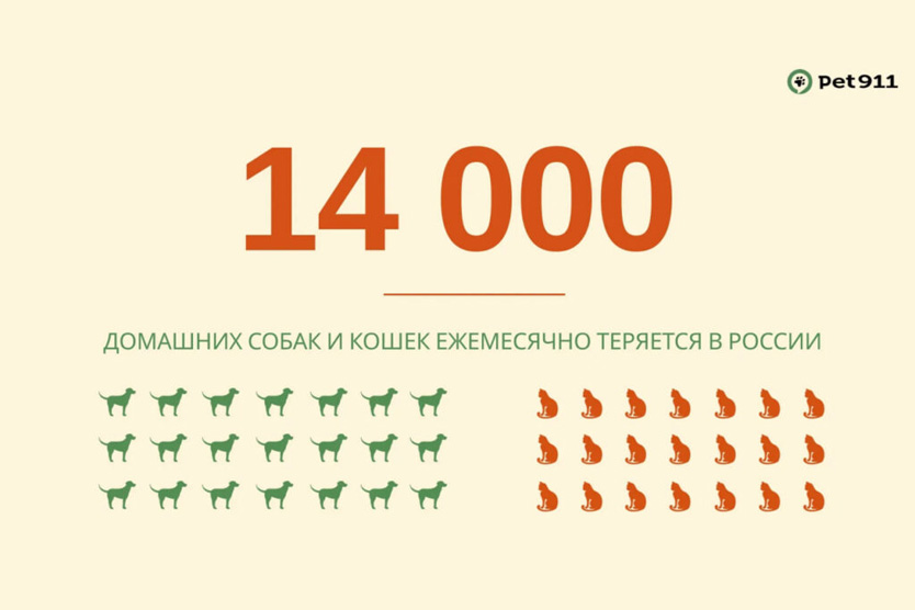 Сколько животных теряются в России за год