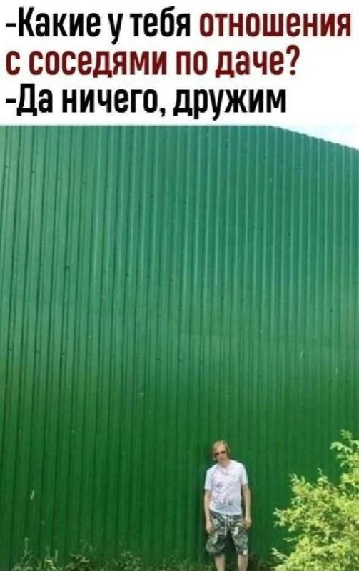 Мем про соседей на даче