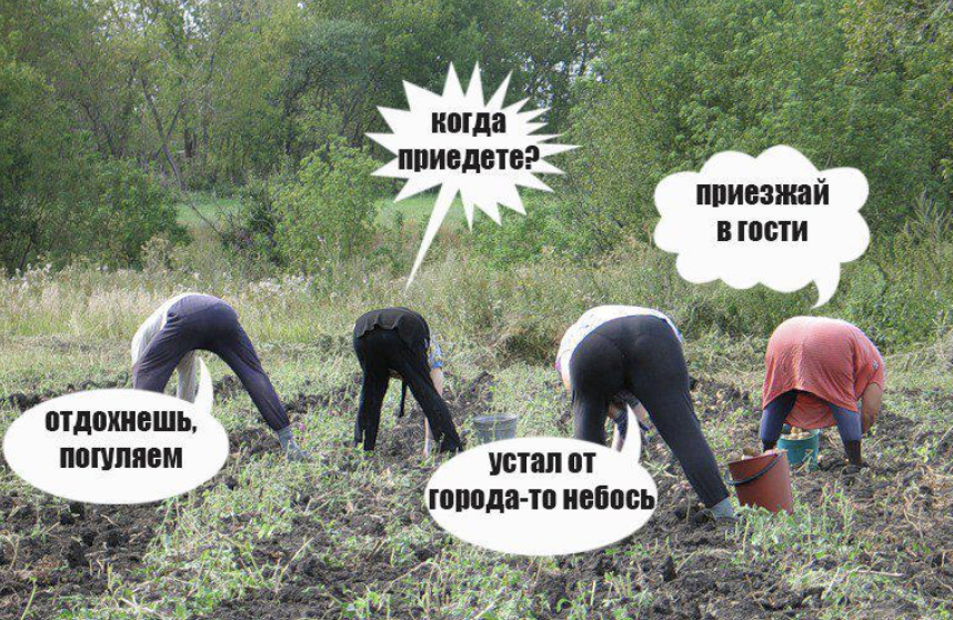 Мем про жизнь на даче