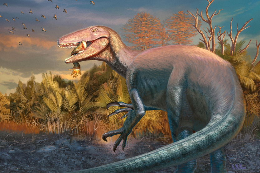 Joaquinraptor casali
