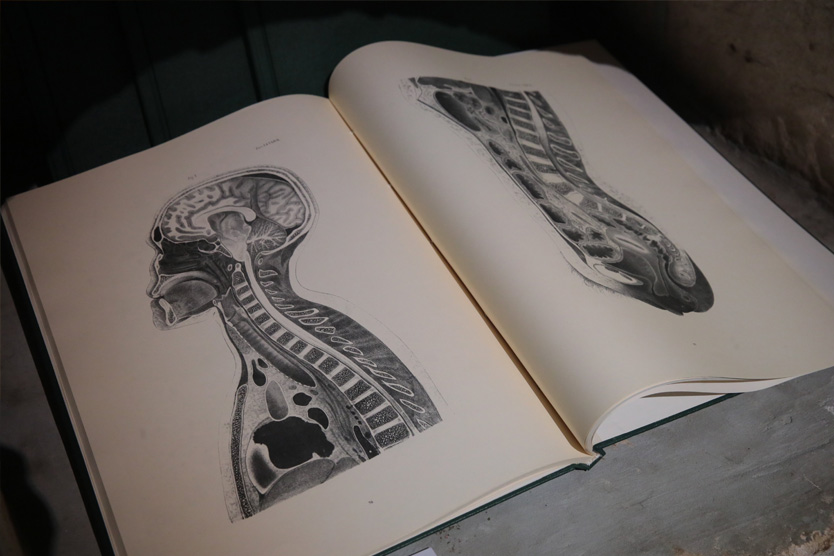 Анатомический атлас Пирогова