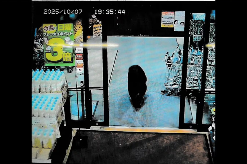 Медведь у супермаркета в Японии