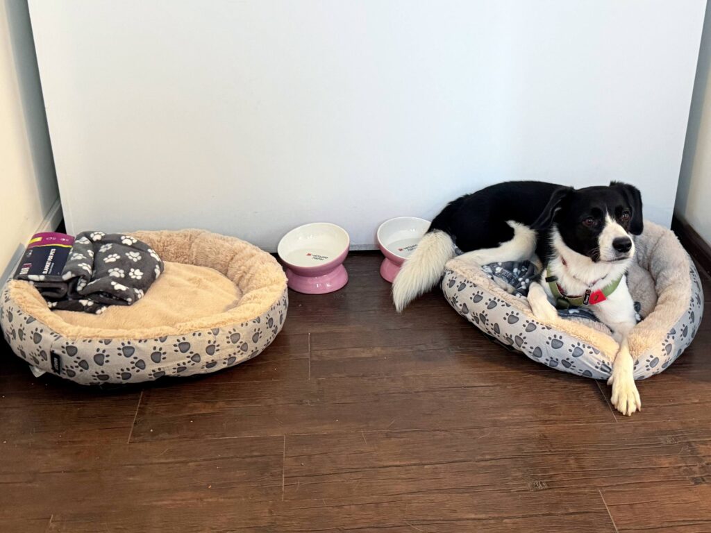 Это изображение имеет пустой атрибут alt; его имя файла - photo_2025-11-12_13-36-02-size_2560x1920-1024x768.jpg