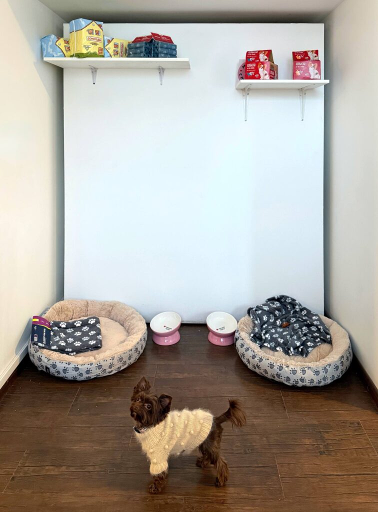 Это изображение имеет пустой атрибут alt; его имя файла - photo_2025-11-12_13-46-49-size_1889x2560-756x1024.jpg