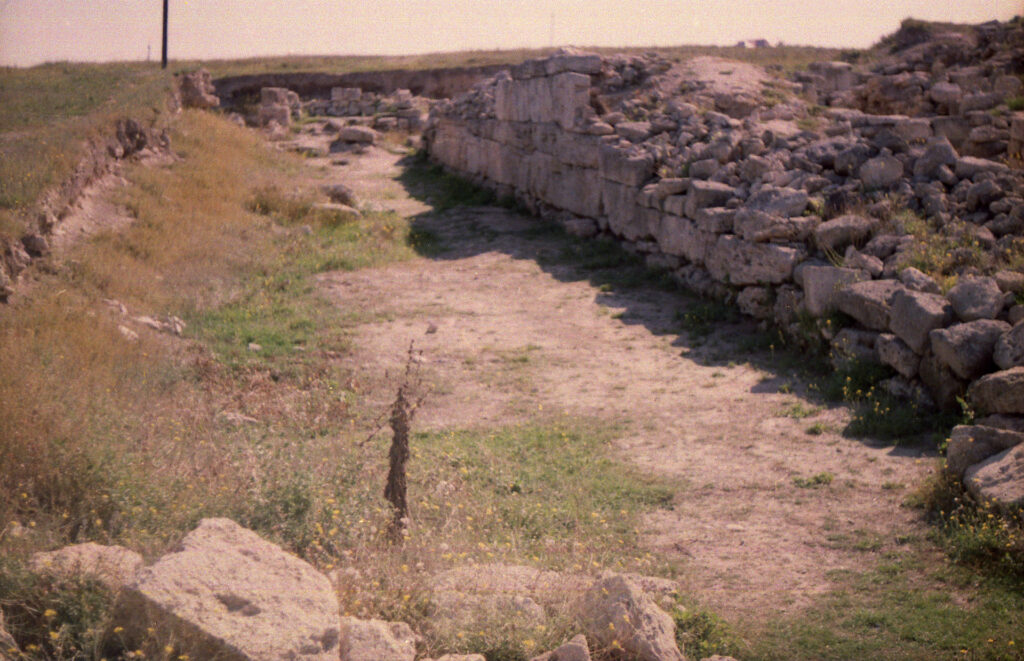 Александр Бутягин руководит раскопками на нескольких крымских городищах