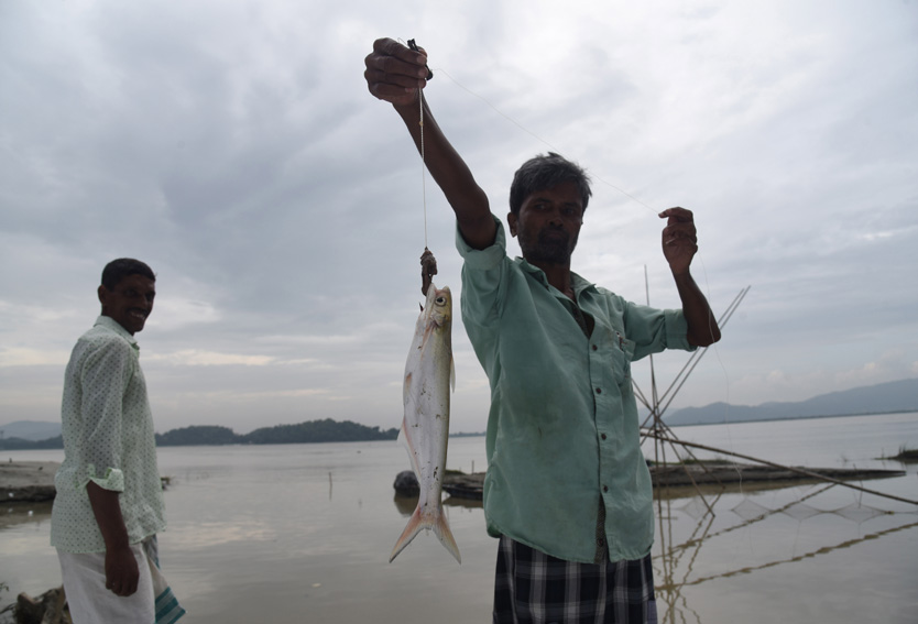 Рыболов в Индии