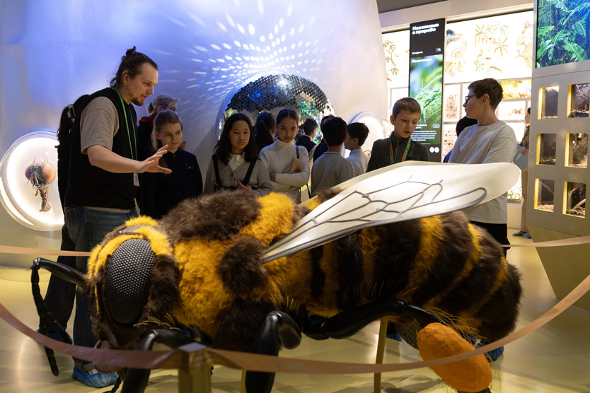 жужжащий мир