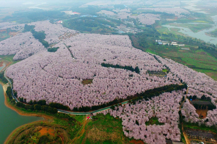 Ферма Пинба