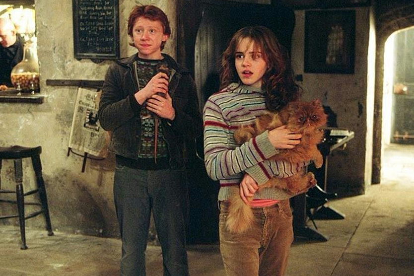 Рон, Гермиона и Живоглот