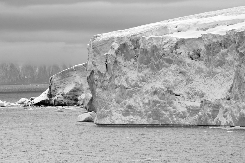 Льды в Арктике