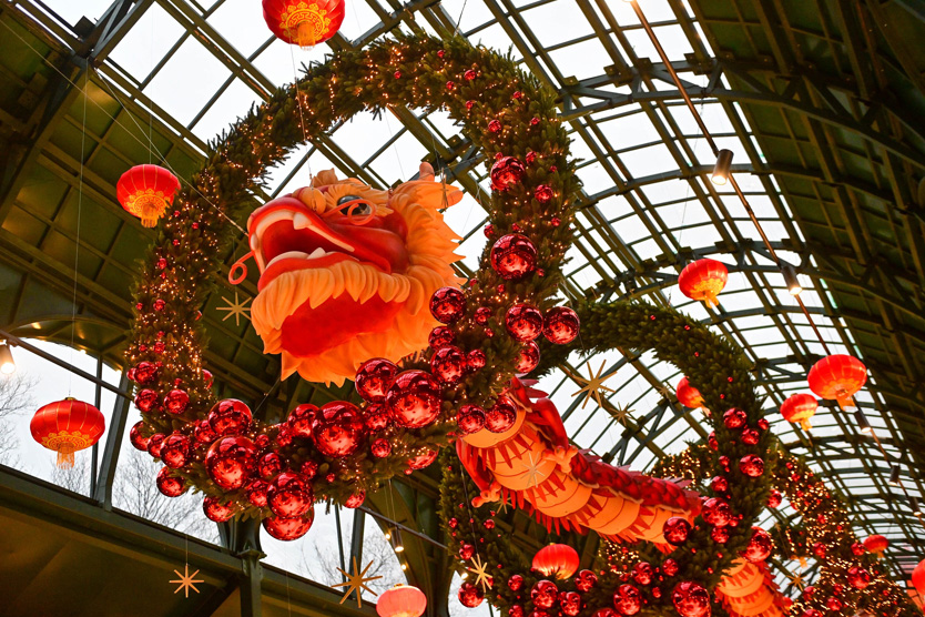 Китайский Новый год на Болотной площади