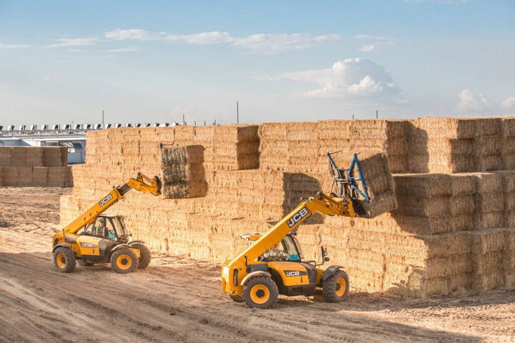 «Грибная радуга» Александра Удодова и Олега Логвинова в прошлом голу произвела почти 80 тысяч тонн компоста