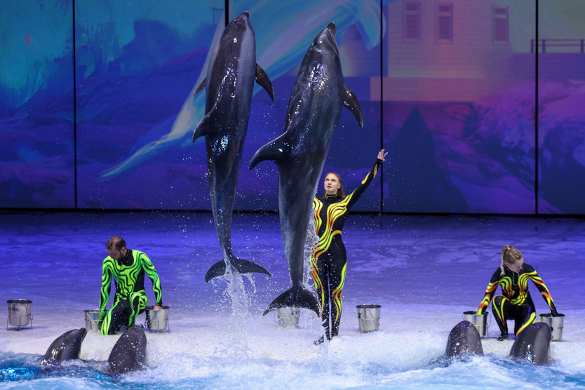 Шоу "Море снов"