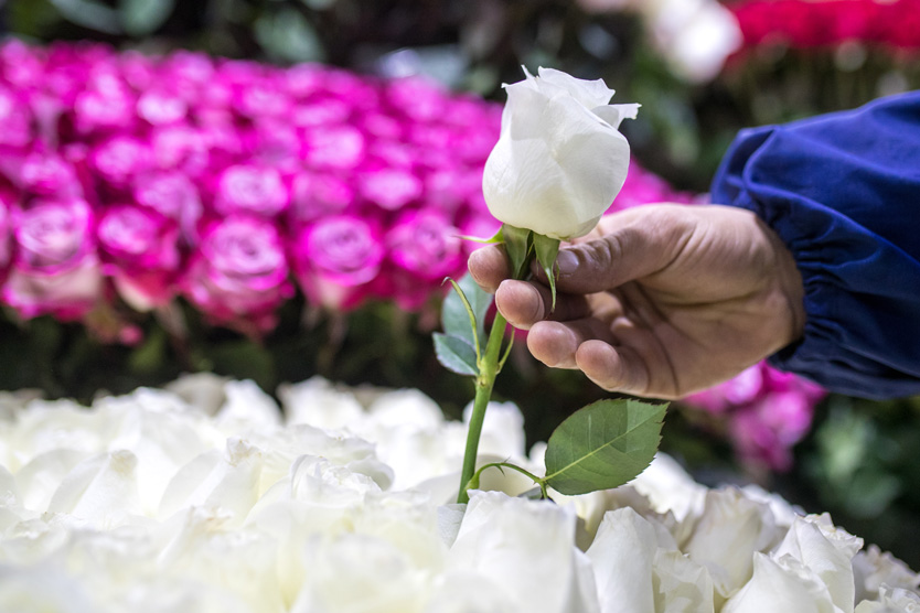 Цветочный магазин