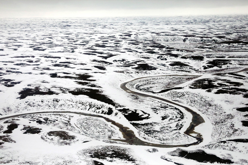 Арктическая тундра