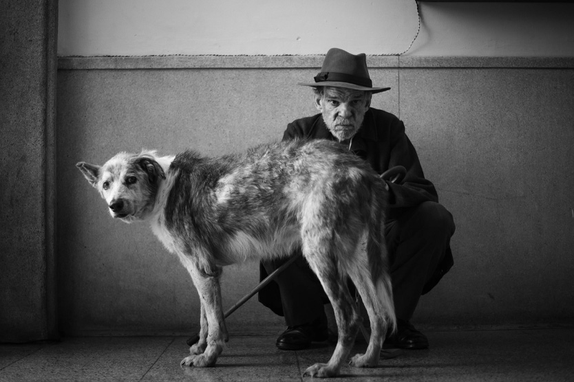 Посторонний Камю