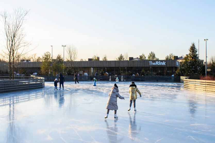 Каток The Rink