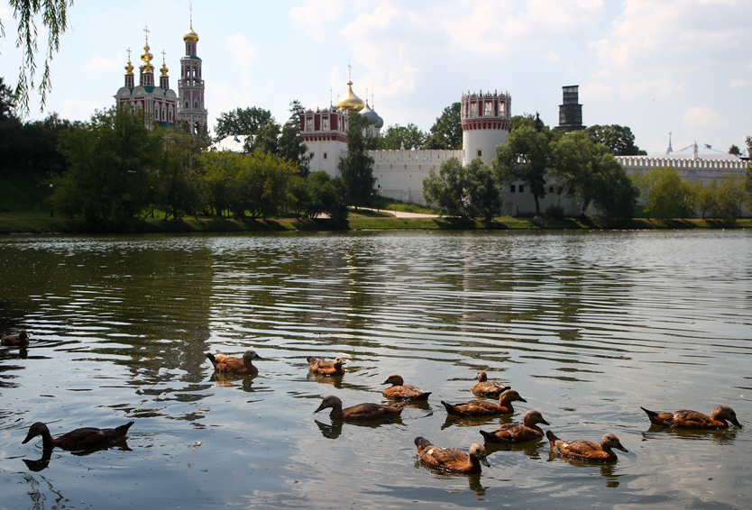Новодевичий монастырь в Москве