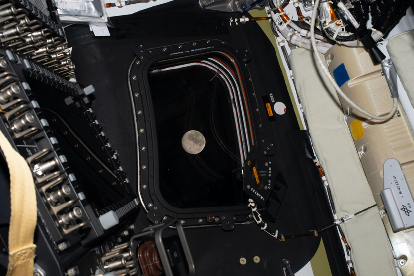 Миссия «Артемида»