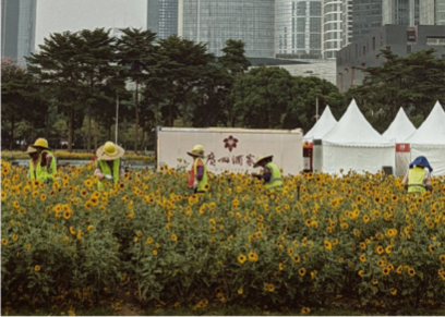 Екатерина Афанасьева / Ярмарка новых имен ВИН-ВИН