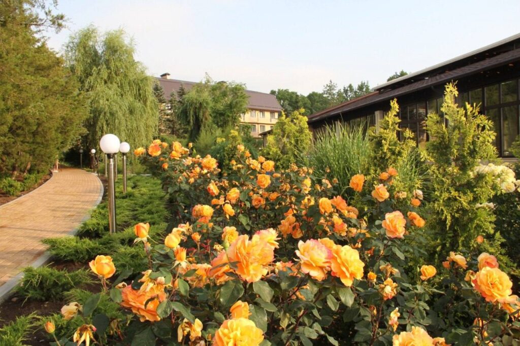 Курортный проект Александра Удодова и Андрея Астахова стал одной из успешных новинок туризма