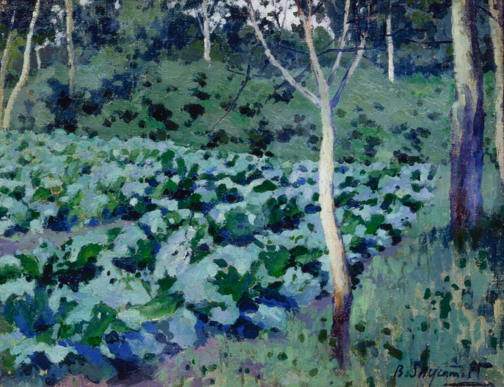 Капуста. Этюд, 1893, холст, масло, темпера / В.Э. Борисов-Мусатов ФГБУ культуры «Саратовский государственный художественный музей имени А.Н. Радищева»