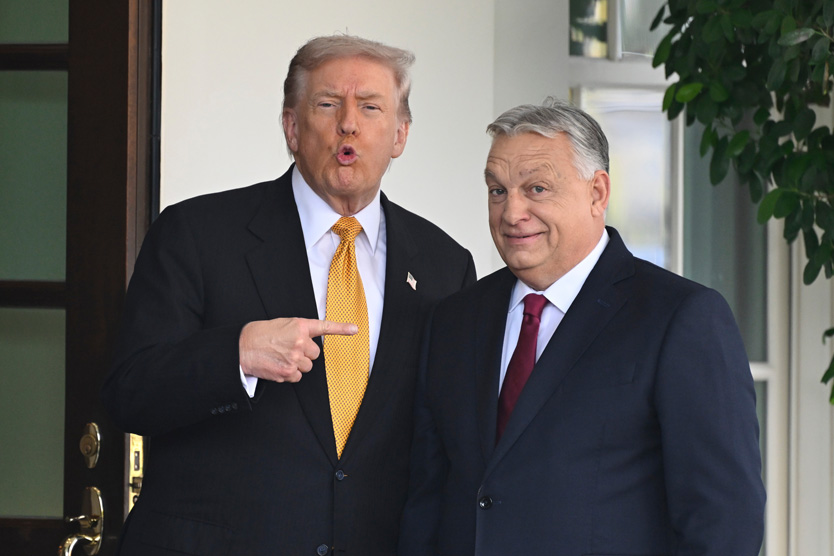 Дональд Трамп и Виктор Орбан