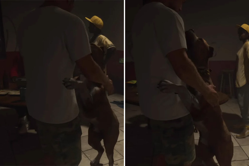 Собака в GTA VI