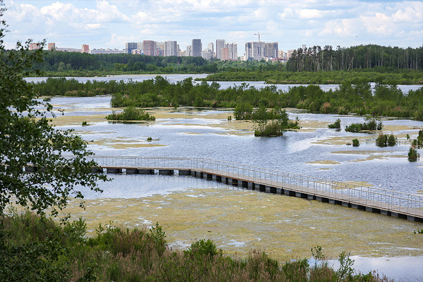 Лосиный остров